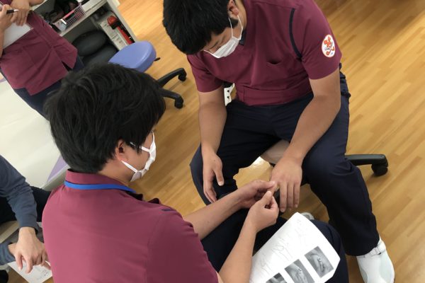 11月 療法士院内勉強会を行いました。
